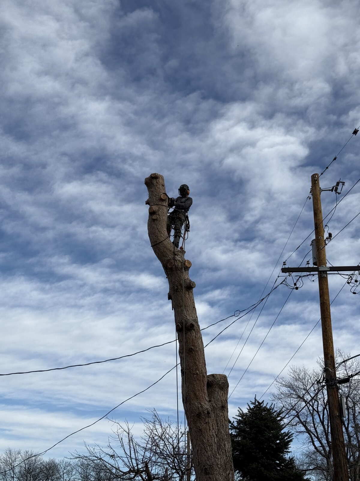 Storm damage response